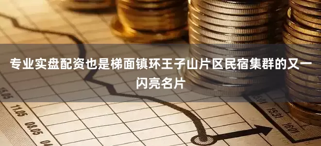专业实盘配资也是梯面镇环王子山片区民宿集群的又一闪亮名片